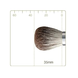Authentic Kumano Brush Chikuhodo Silver Fox Cheek Brush, Black Handle, R-C5, Hiroshima, Regular Series, Makeup Brush, CHIKUHODO (Black)