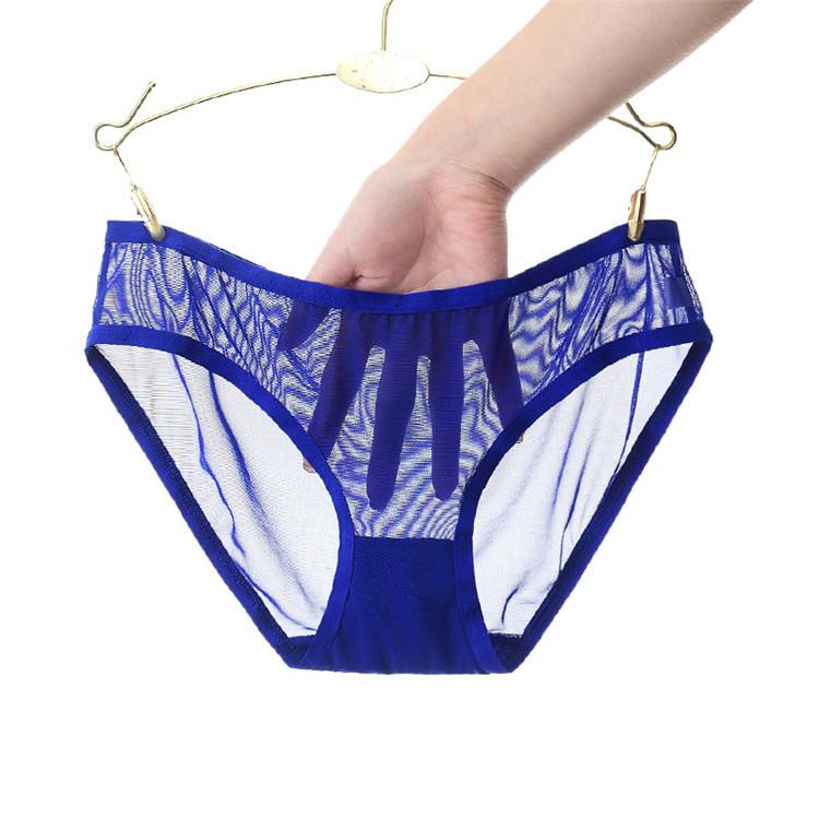 Low-Rise Transparent Mesh Panties - Sexy Japanese-Style, Cute Seamless Underwear for Women 1533