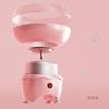 Fully Automatic Mini Cotton Candy Maker for Kids and Home Use
