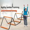 Butterfly Agile Foldable Training Ladder: Versatile Step and Storage Solution