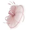 Mesh Fascinators Hats Feather Hair Clip Vintage Tea Party Hats