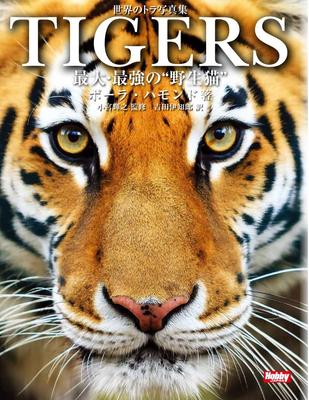 World Tiger Photo Collection: The Biggest and Strongest "Wild Cats