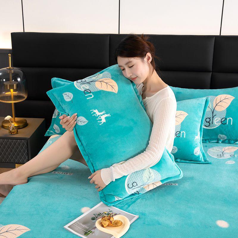 Winter Milk Velvet Flannel Pillow Set - Double-Sided Warm Pillow Core & Cover for Single/Double, Ideal for Students & Adults
