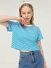 Rosiro Stripe Crop Half Sleeve T-Shirt [Blue]