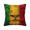 Custom Jamaican Rasta Flag Pillow Covers Home Decorative Fashion Jamaica Pride Chair Cushion Square Pillowcase