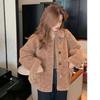 Imitation lamb wool coat women's autumn and winter new loose and thin small thickened short top student