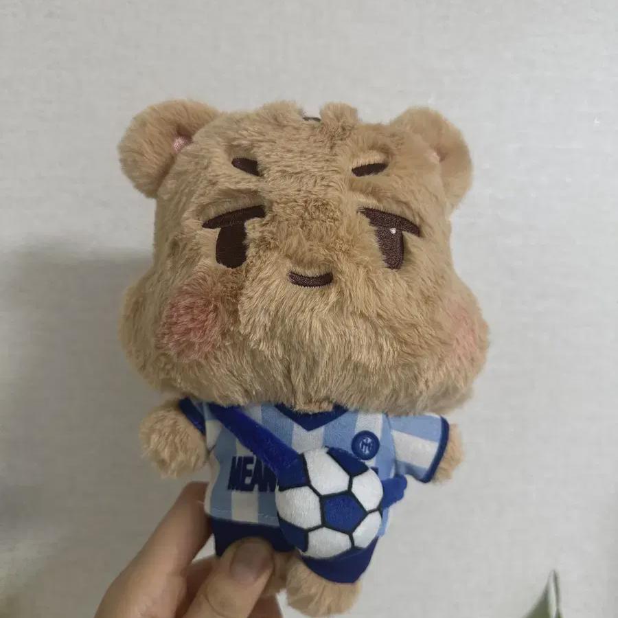 

SHINee Минхо Дараминг 20 см