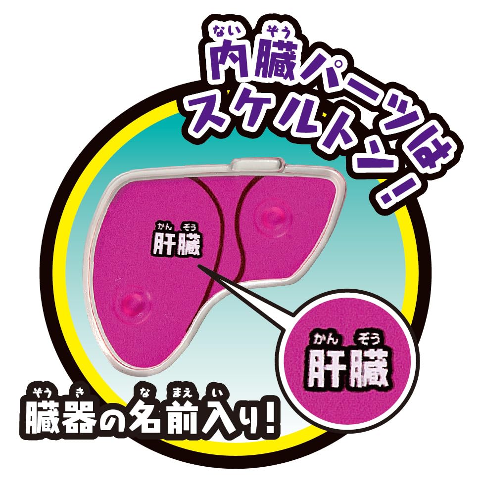 Megahouse Super Crush Human Body Model Action Game Ages 6 and up