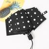 Accesorii – Umbrele