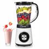 Standing Jug Blender Bpa Free First Austria