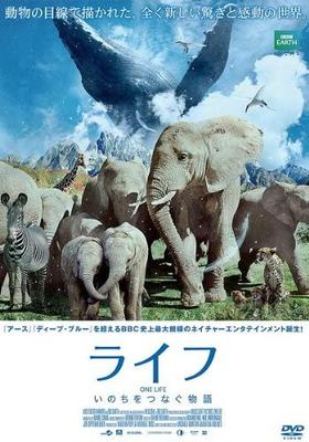 DVD DVD - Life: A Story That Connects Lives Japan Movies & DVD Used