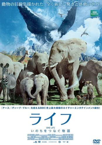 

DVD DVD - Life: A story that connects lives Japan Movies & DVD Used