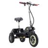TWOFISH TF03 Elektrische Scooter met Afneembaar Zadel, 350W driewieler 48V 15Ah Batterij