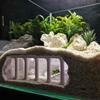 Roman Column Cave Tunnel Fish Tank Decoration Aquarium Tunnel Under Gravel Fish And Shrimp for Cichlid