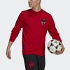 adidas FC Bayern 20/21 Chinese New Year Sweatshirt 'Red' Men's GK8627