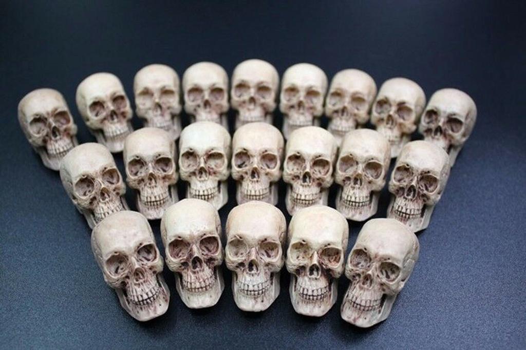 Mini Artificial Skull For Anatomical Scenes Perfect For Home Decor And Gifts