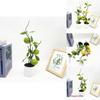 Lemon Indoor Decorative Plant With Faux Fruits For Photography And Home Decor