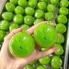 Handmade Watermelon Slushie Soft Rubber Decompression Toy with Sandy Sound and Venting Squeeze Feature