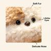 Plush Toys, Cute And Perfect Birthday Gifts For Friends And Classmates, Graduation Gifts