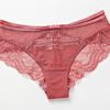 Sexy Breathable Lace Panties Hollow Personality Charming Pure Desire Low Waist Large Size Women's Briefs