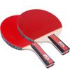Double Fish 2-Star Table Tennis Racket