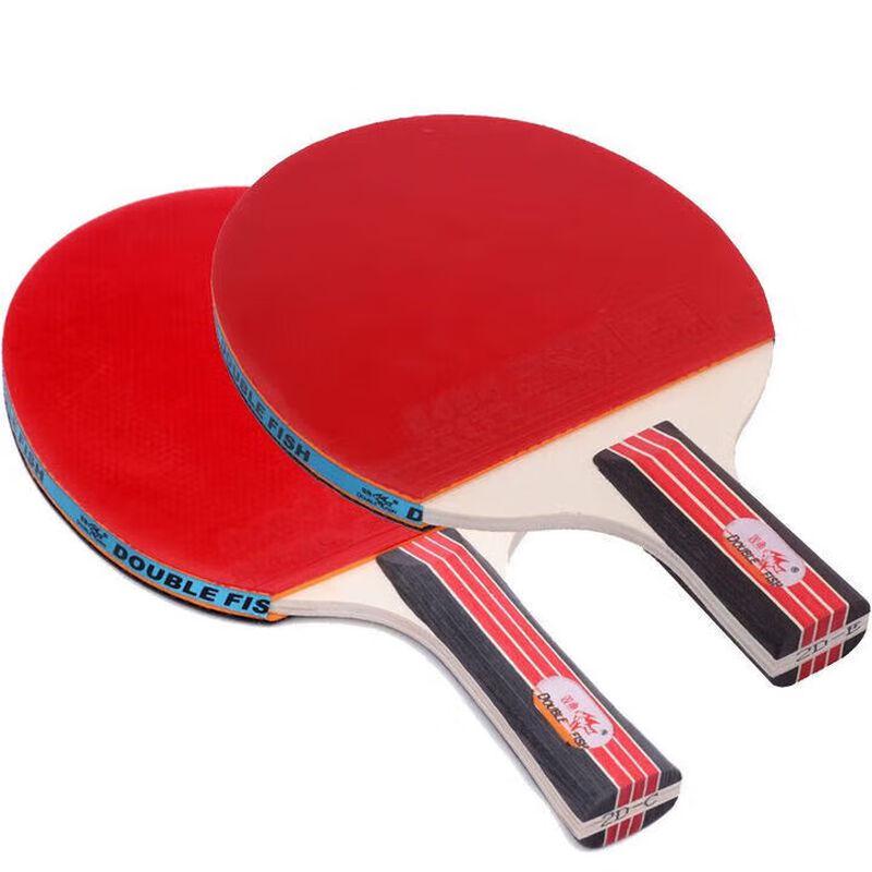 Double Fish 2-Star Table Tennis Racket