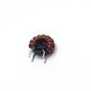 Toroidal Common Mode Inductor T9*5*3: 0.5 Red Core, Parallel Wound Wire, 10 Turns, 20UH, 3A, Nickel-Zinc Ferrite Core.