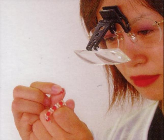 TSK Magnifier for 28x74mm Lens Made in Clip-on Glasses, 2.5x Magnification, Diameter, Japan, RX-4825