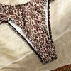 Bikini Three-piece Leopard Print Beach Wrap Skirt Sunblock Sexy Backless Swimsuit Bra