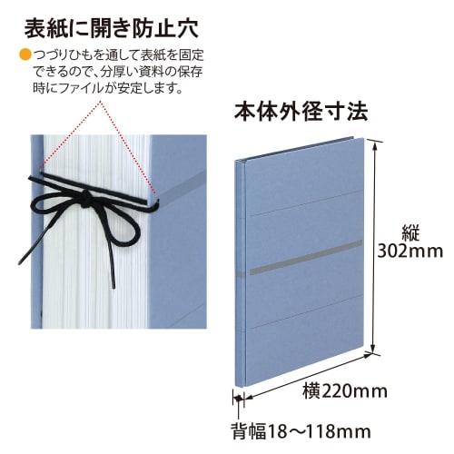 PLUS Plus Flat File A4 Vertical 2 Holes Cenovus 3 Books + 1 Replacement Cover 1 Binding String 89-288 Blue