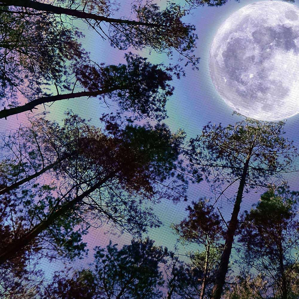Trippy Moon Forest Ceiling Tapestry for Bedroom Aesthetic, Cool Psychedelic Trees Starry Night Galaxy Sky Tapestry Wall Hanging,