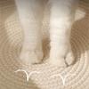 Cats Puppy Bed Basket Base Scratch Resistant Mat for Small to Medium Pet Creative Pet Bed Cute Nest Machine Washable