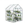 Walk-In Greenhouse with PE/PVC Cover – Ideal for Flowers and Succulents