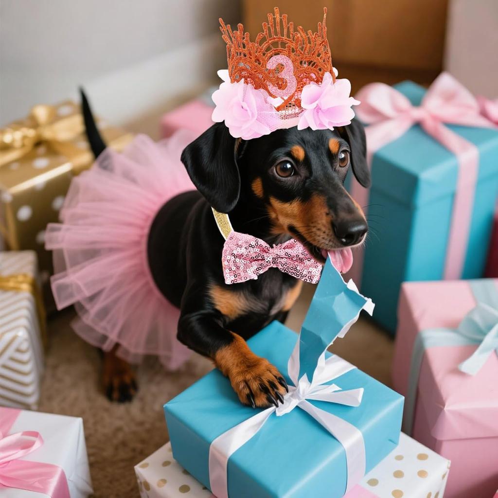 5PCS Girl Dog Birthday Outfit,Small Dog Birthday Hat with Numbers Decorations(Pink)