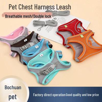 Reflecterend Ademend Huisdierentuig en Lijn Set voor Katten en Honden met Halsband Decoratie