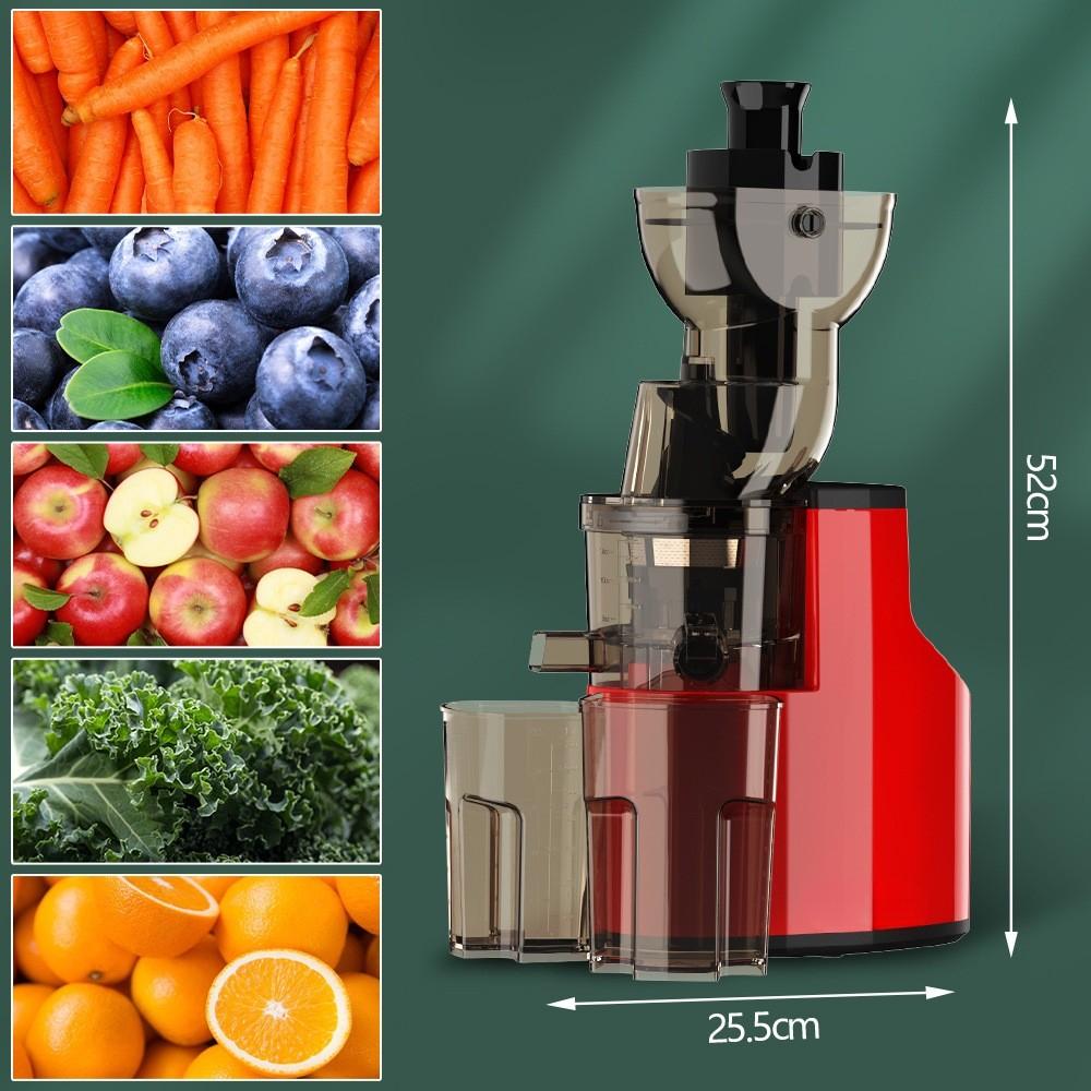 2L Large Capacity Electric Juice Extractor Kitchen High Speed Blender Powerful Fruit Vegetable Slow Juicer Machine
