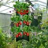 Strawberry Hanging Planting Bag Multi-Function Hanging Strawberry Grow Bag Vegetable Flower Plant Grow Bags For Plant Growth