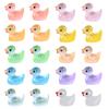 Glow in The Dark Mini Ducks, Luminous Miniature Duck Figurines for Fairy Garden Terrarium, Moss Landscape Home Decor