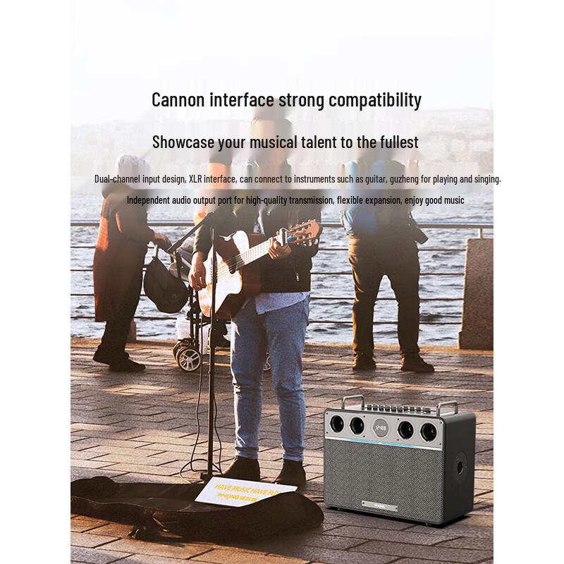 W-King T16PLUS 300W Portable KTV Bluetooth Speaker