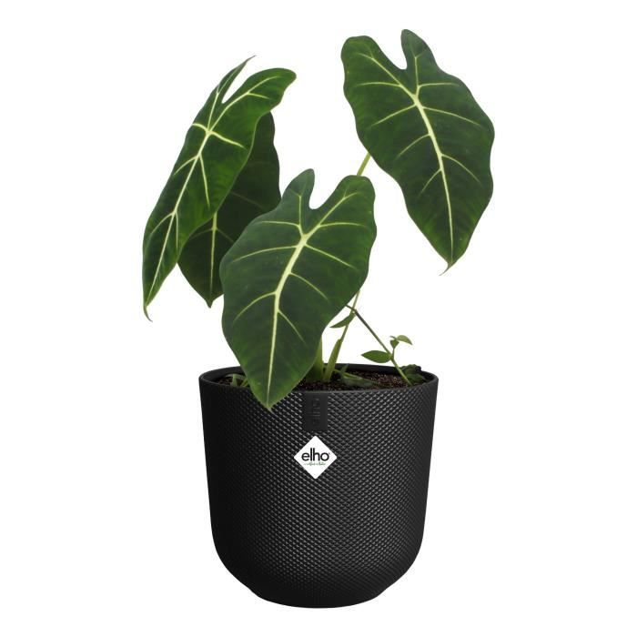 ELHO Blumentopf Jazz Rund - Schwarz - Ø 26 x H 24 cm - Innenbereich - 100% recycelt