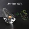 Avocado Seed Starter Vase Transparent Avocado-Shaped Plant Growth Glass Hydroponic Vase Seed Growing Kit For Gardening Lovers