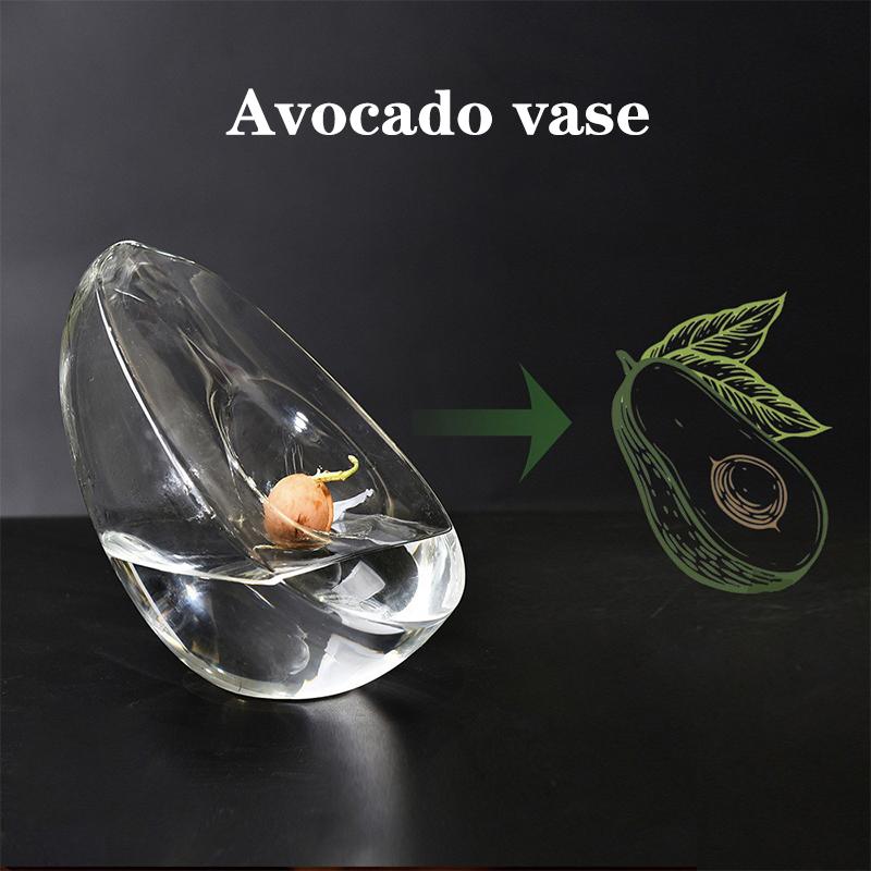 

Avocado Seed Starter Vase Transparent Avocado-Shaped Plant Growth Glass Hydroponic Vase Seed Growing Kit For Gardening Lovers A