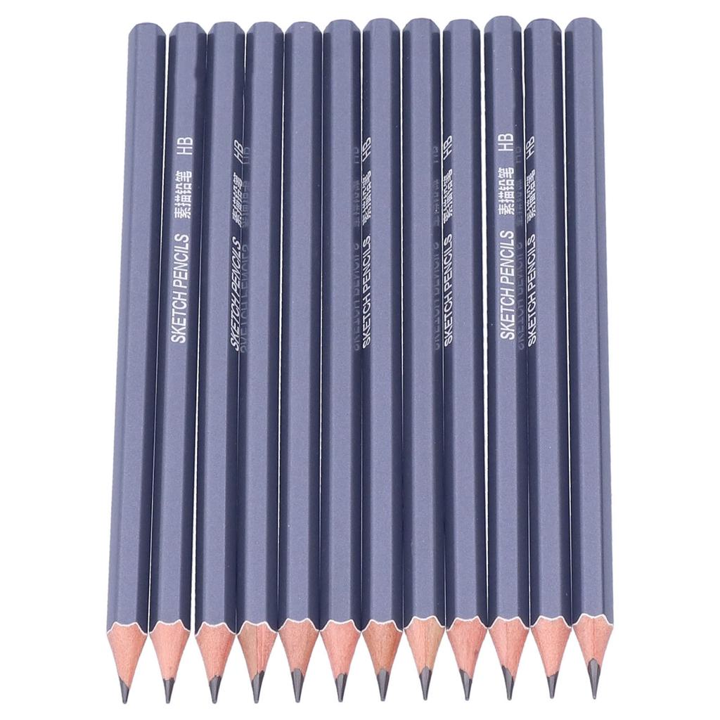 12 Stück Graphitstifte Harte Professionelle Stifte Zeichenset zum Skizzieren Graffiti Design
