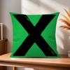 Pop Singer EEd SSheeran Play Personalized Picture Text Home Decorative Pillows Household Gifts Xcm