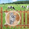 2pcs Heavy-Duty 304 Stainless Steel Door Hinges - Wall Mounted, Polished Finish for Farm Gates & Wooden Fences, Supports Up To 620lbs