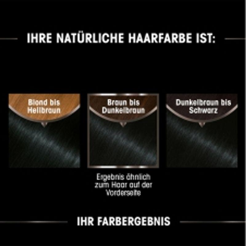 Garnier Olia Hair Color 110 Cool Ash Blonde