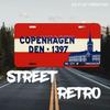 Car License Plate Metal Wall Decor 15x30cm