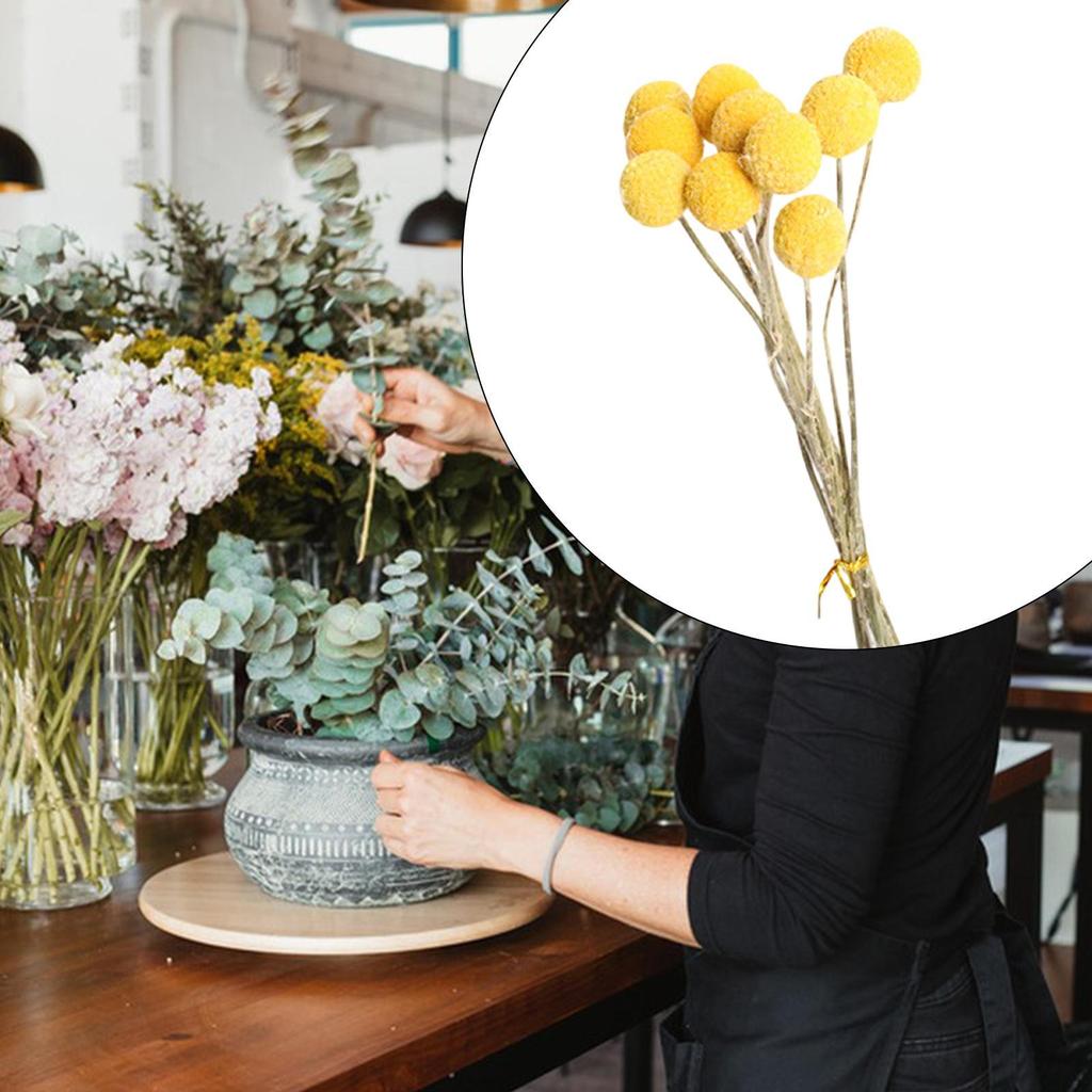 Dried Flower Assortment for Stylish Home Decor