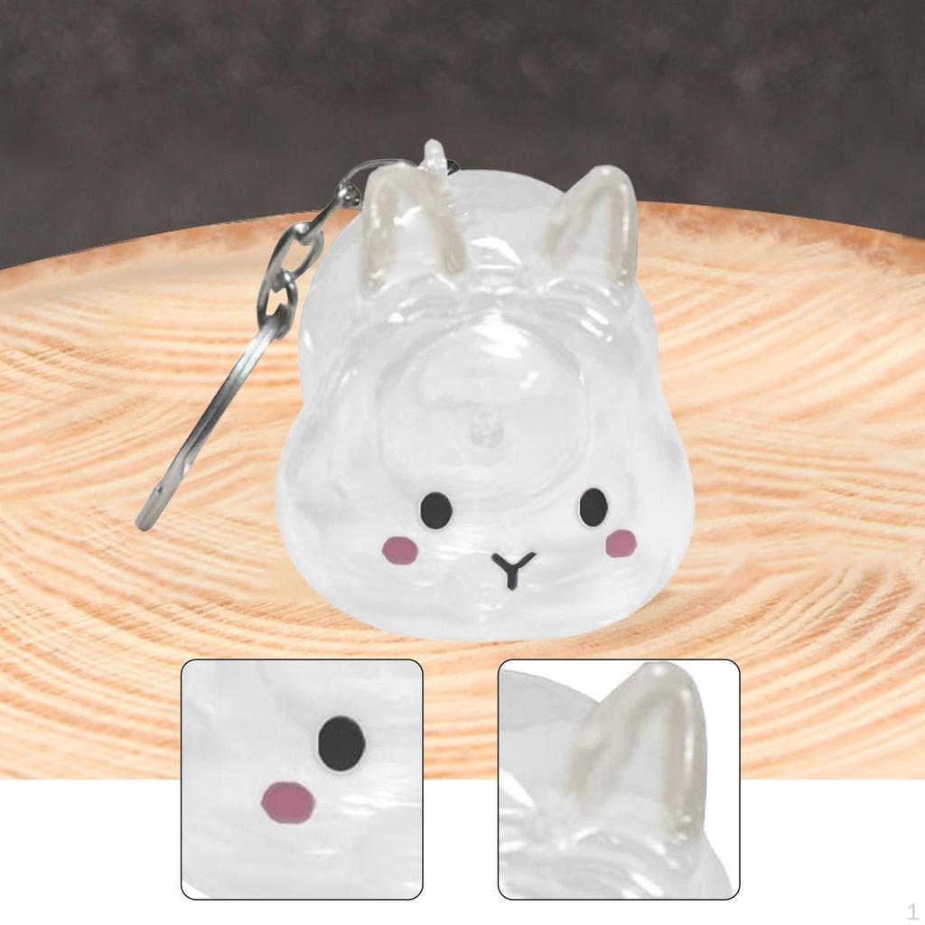 Collector Keyring for Pet Lovers Hair Holder Memorial Storage Box