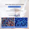 Kefumei Recombinant Collagen Hydrating Toner